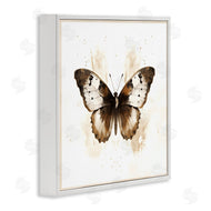 Creative Studio | Brown Washed Moth