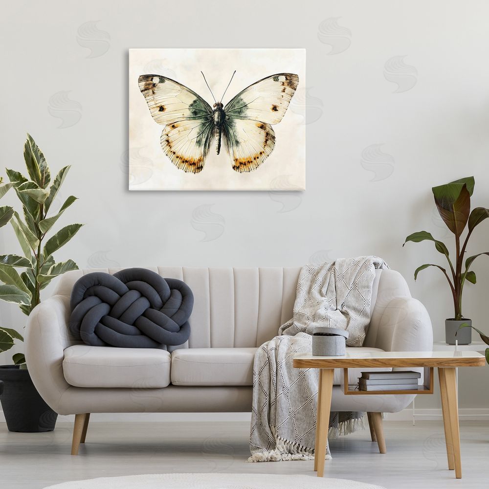 Creative Studio Moth Study Symmetry Printed Wall Art in Room