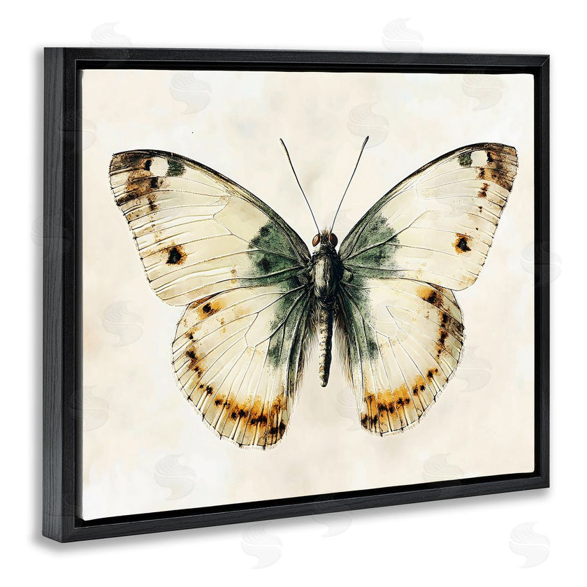 Creative Studio | Moth Study Symmetry