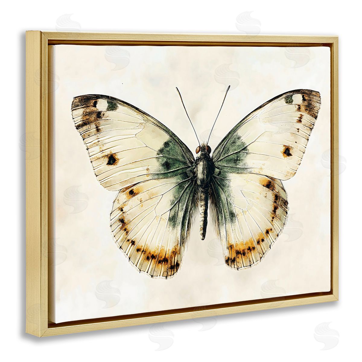 Creative Studio Moth Study Symmetry Gold Floating Frame Canvas Art Print