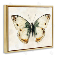 Creative Studio | Moth Study Symmetry