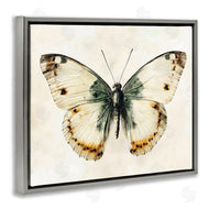 Creative Studio | Moth Study Symmetry
