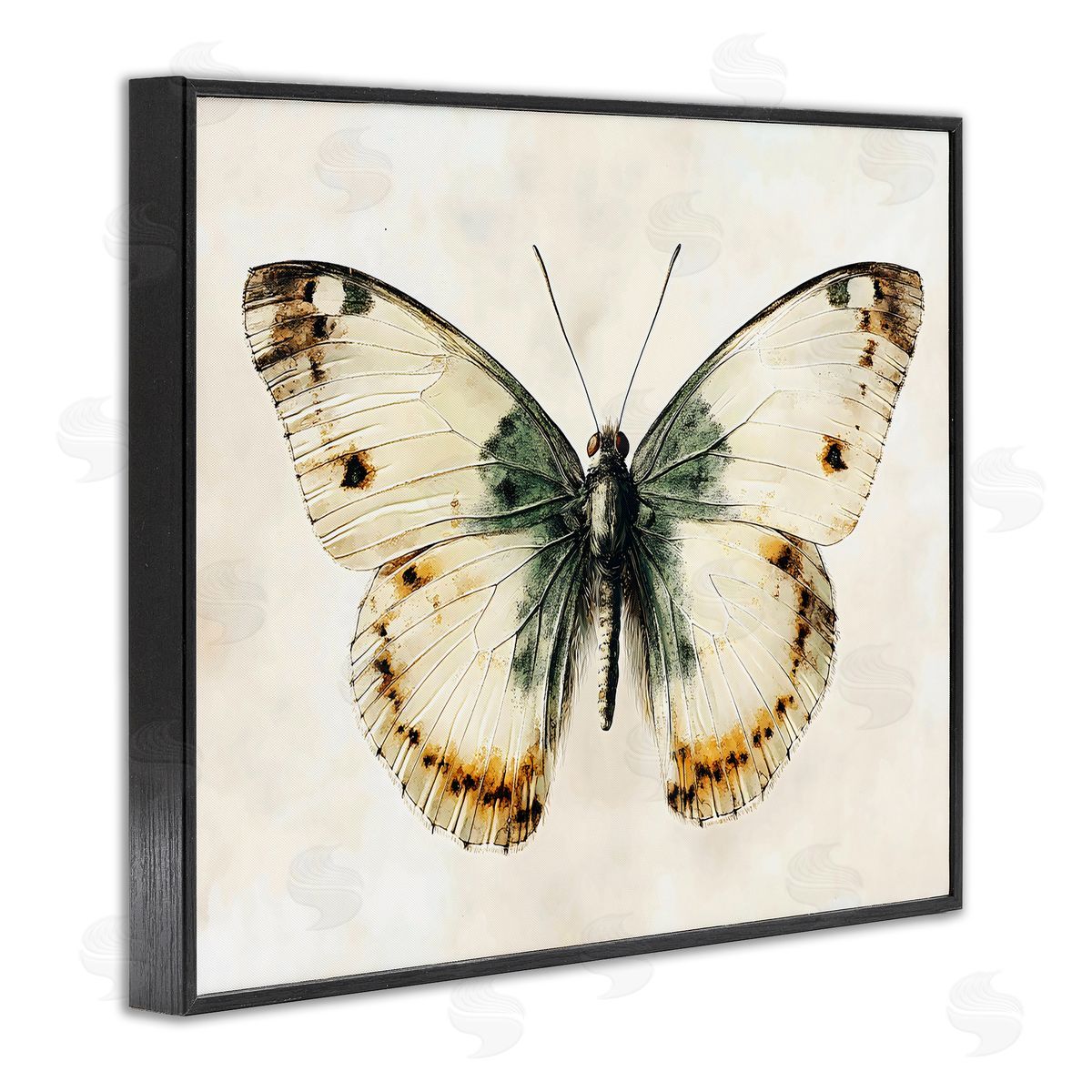 Creative Studio Moth Study Symmetry Black Framed Giclee Art Print
