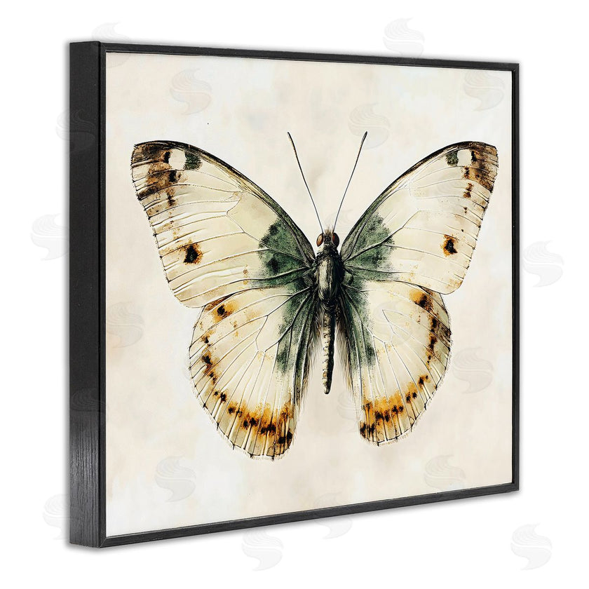 Creative Studio | Moth Study Symmetry