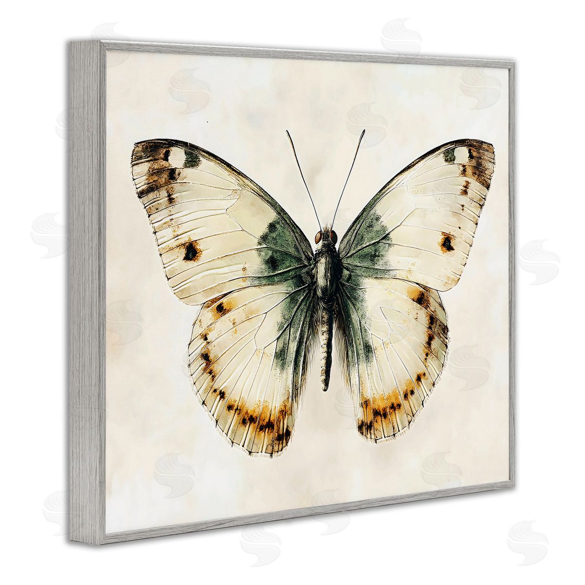 Creative Studio Moth Study Symmetry Gray Framed Giclee Art Print