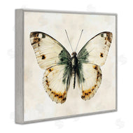 Creative Studio | Moth Study Symmetry
