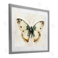 Creative Studio | Moth Study Symmetry