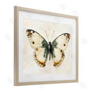 Creative Studio | Moth Study Symmetry