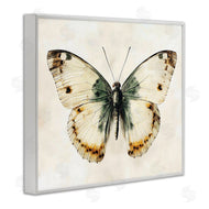 Creative Studio | Moth Study Symmetry