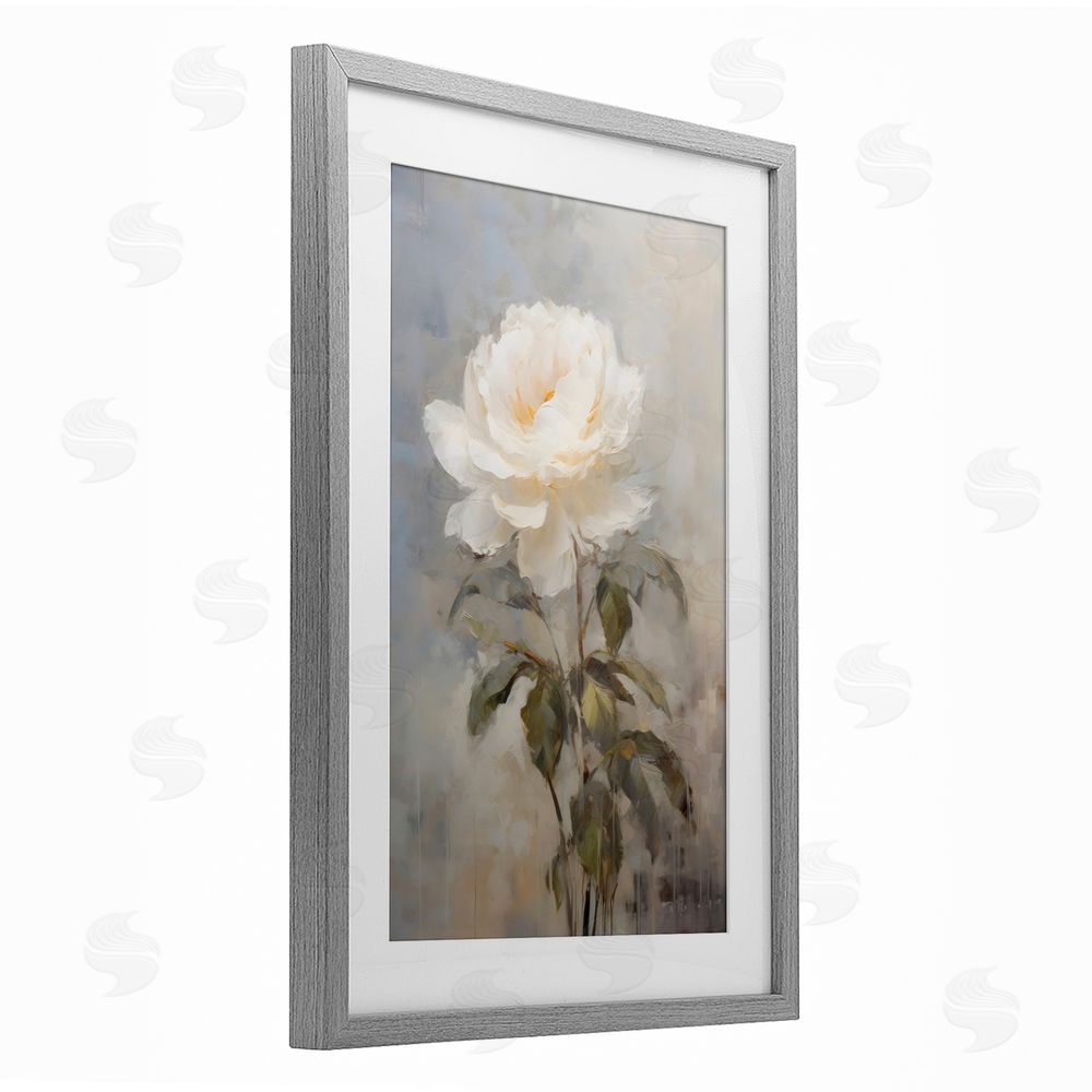 Creative Studio White Rose Close Up Gray Framed Print Under Glass Art