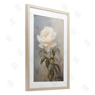 Creative Studio | White Rose Close Up