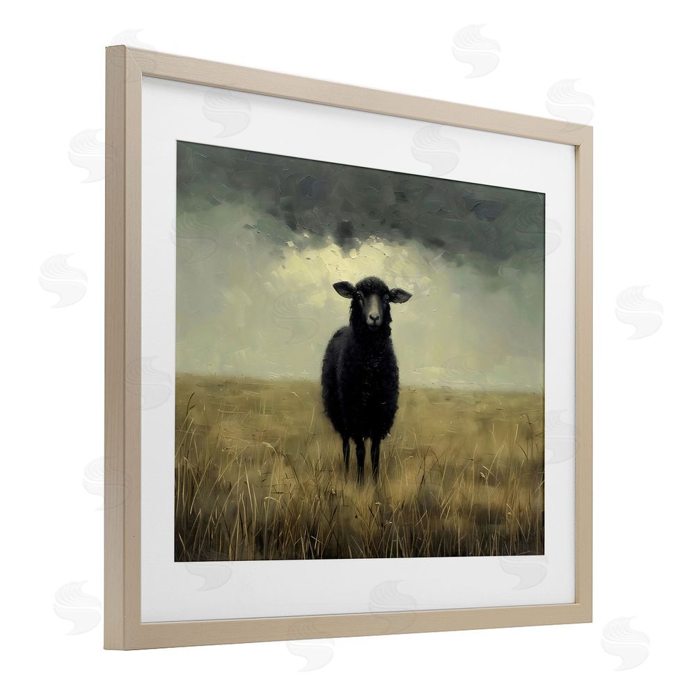 Arlington Prints Black Sheep in Field Birch Framed Print Under Glass Art