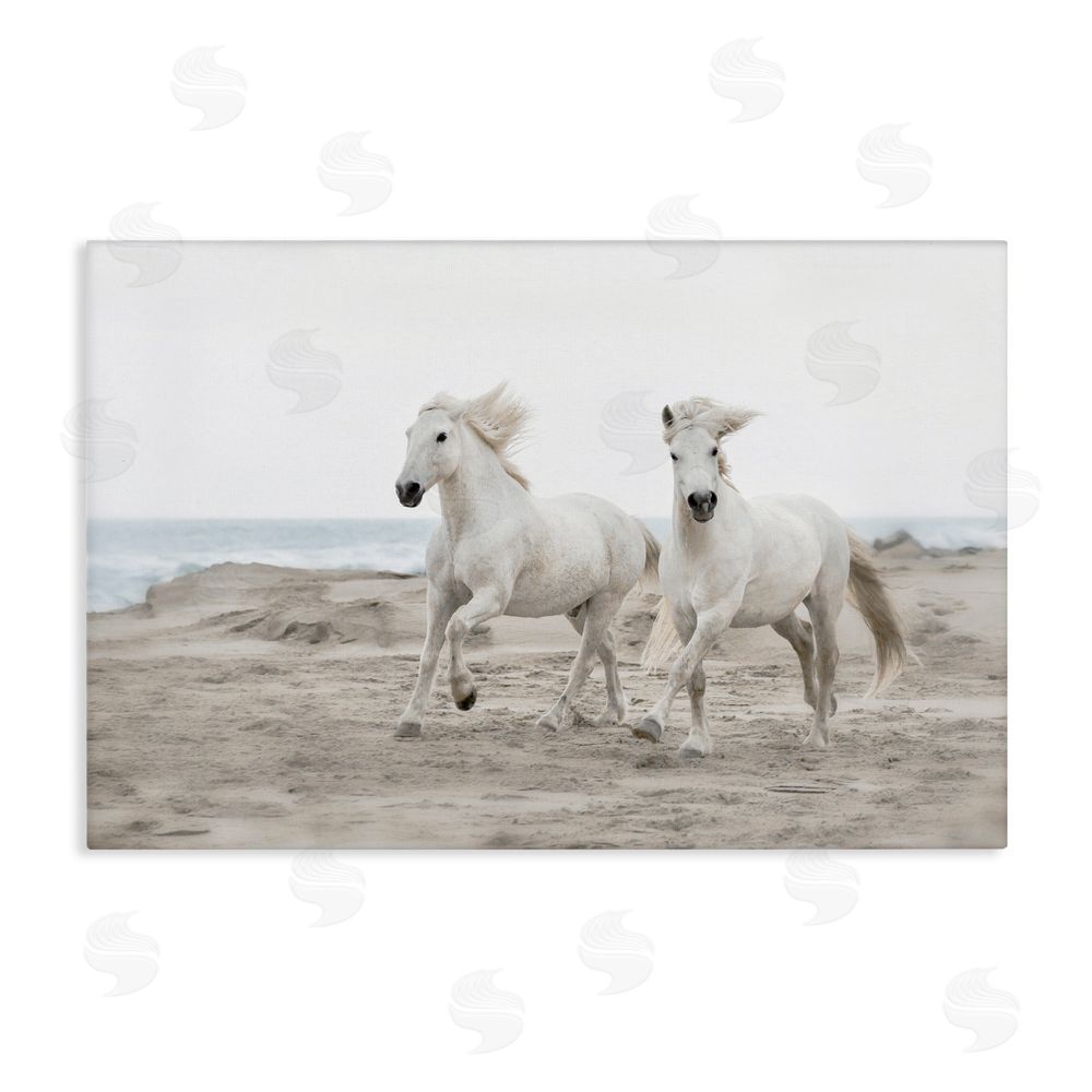 Danita Delimont Beach Running Horses Canvas Wall Art Print