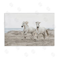 Danita Delimont | Beach Running Horses