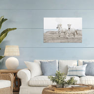 Danita Delimont | Beach Running Horses