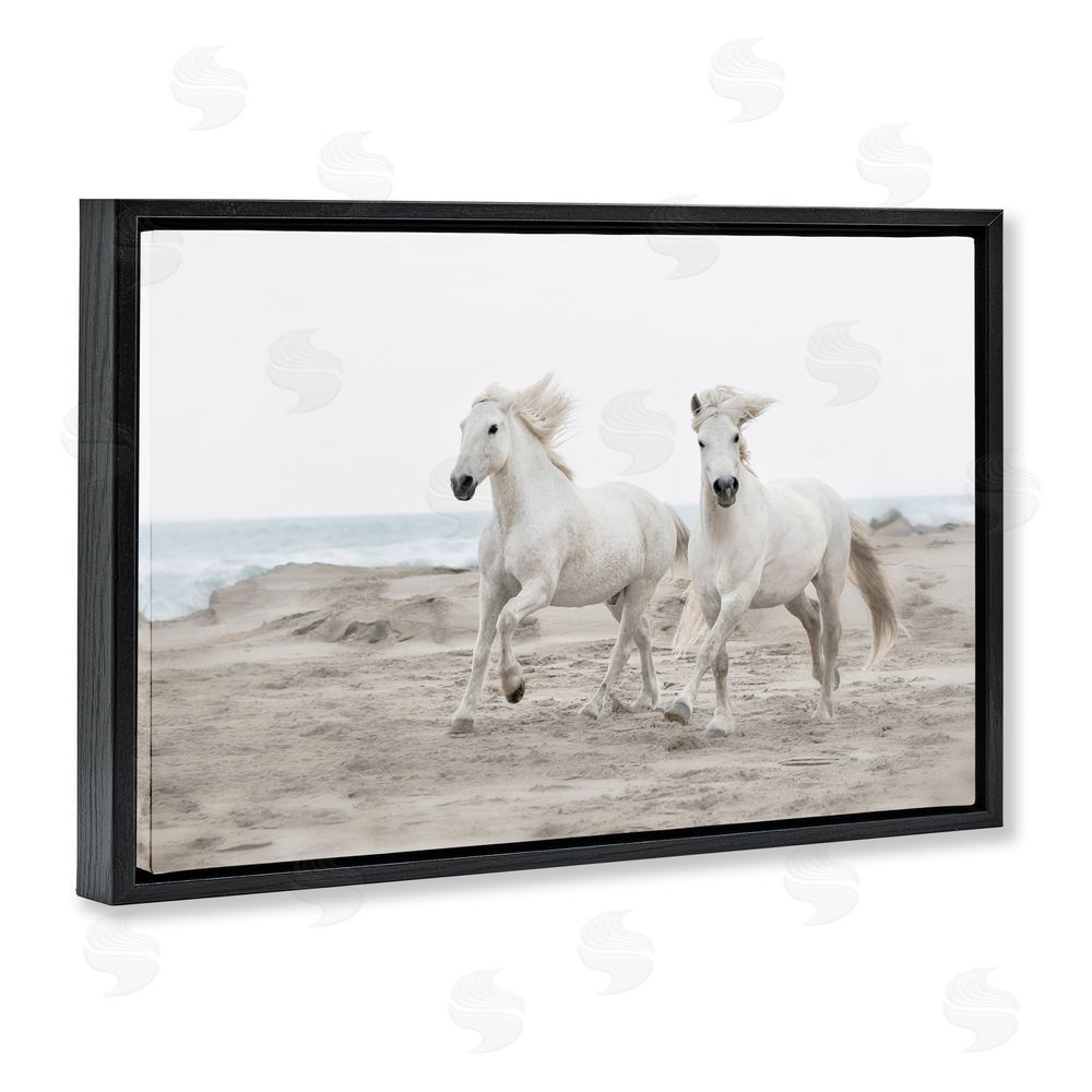 Danita Delimont Beach Running Horses Black Floating Frame Canvas Wall Art Print