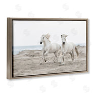 Danita Delimont | Beach Running Horses