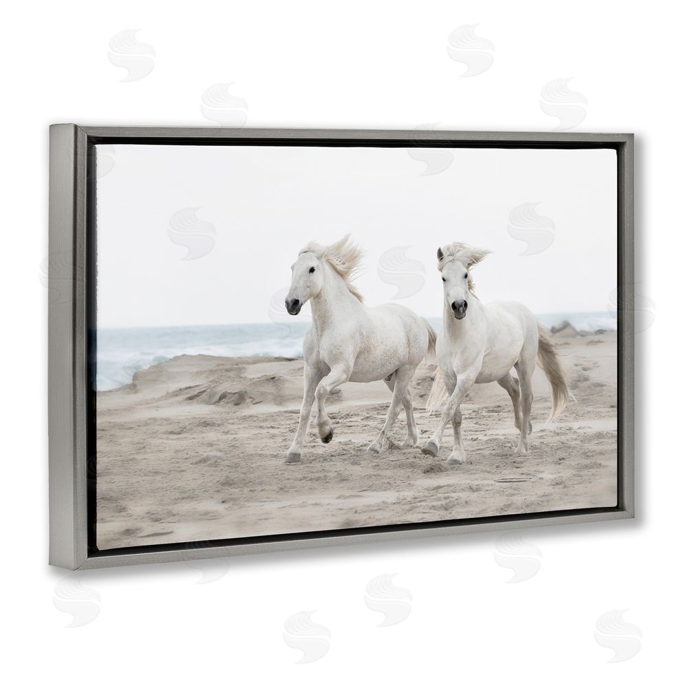 Danita Delimont Beach Running Horses Gray Floating Frame Canvas Art Print