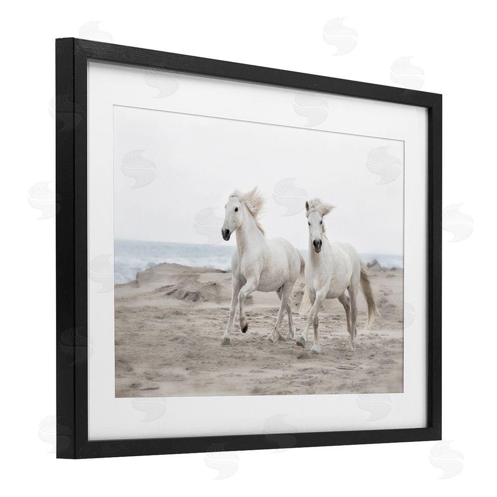 Danita Delimont Beach Running Horses Black Framed Print Under Glass Art