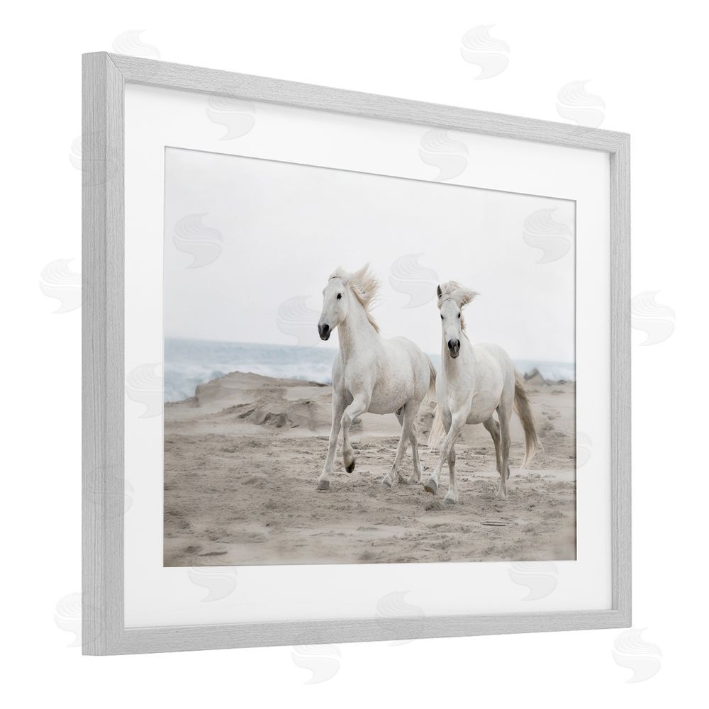 Danita Delimont Beach Running Horses Gray Framed Print Under Glass Art