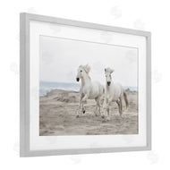 Danita Delimont | Beach Running Horses