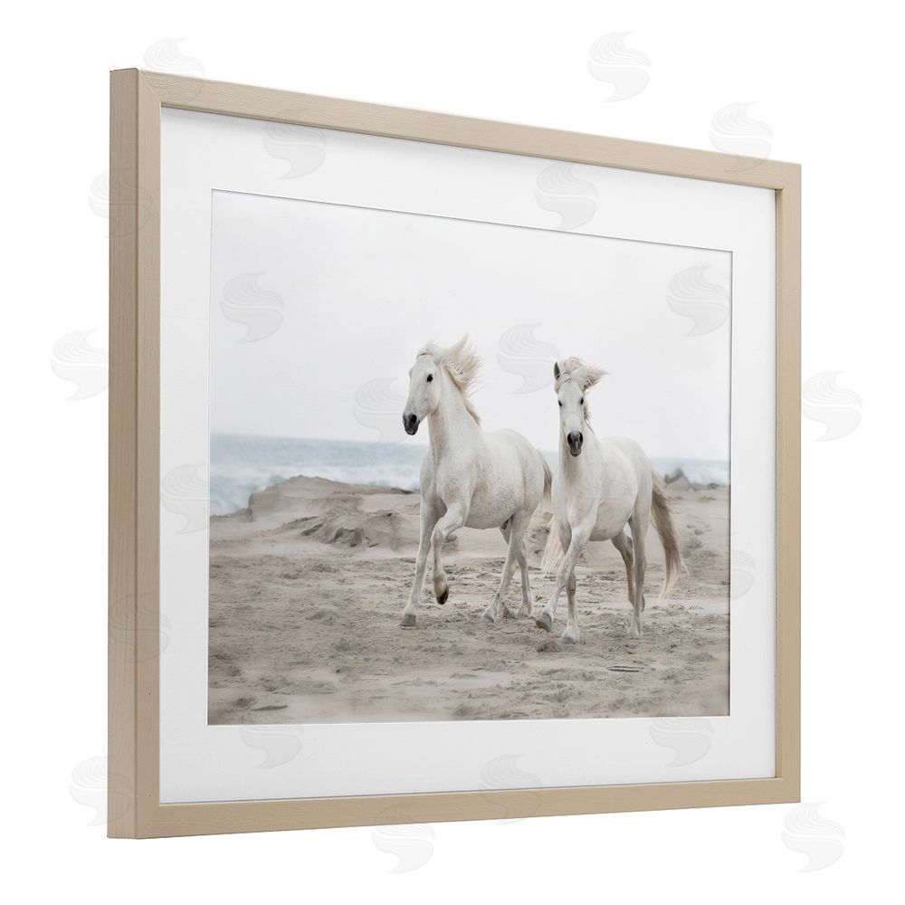 Danita Delimont Beach Running Horses Birch Framed Print Under Glass Art