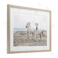 Danita Delimont | Beach Running Horses