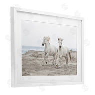 Danita Delimont | Beach Running Horses