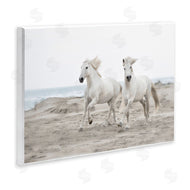Danita Delimont | Beach Running Horses