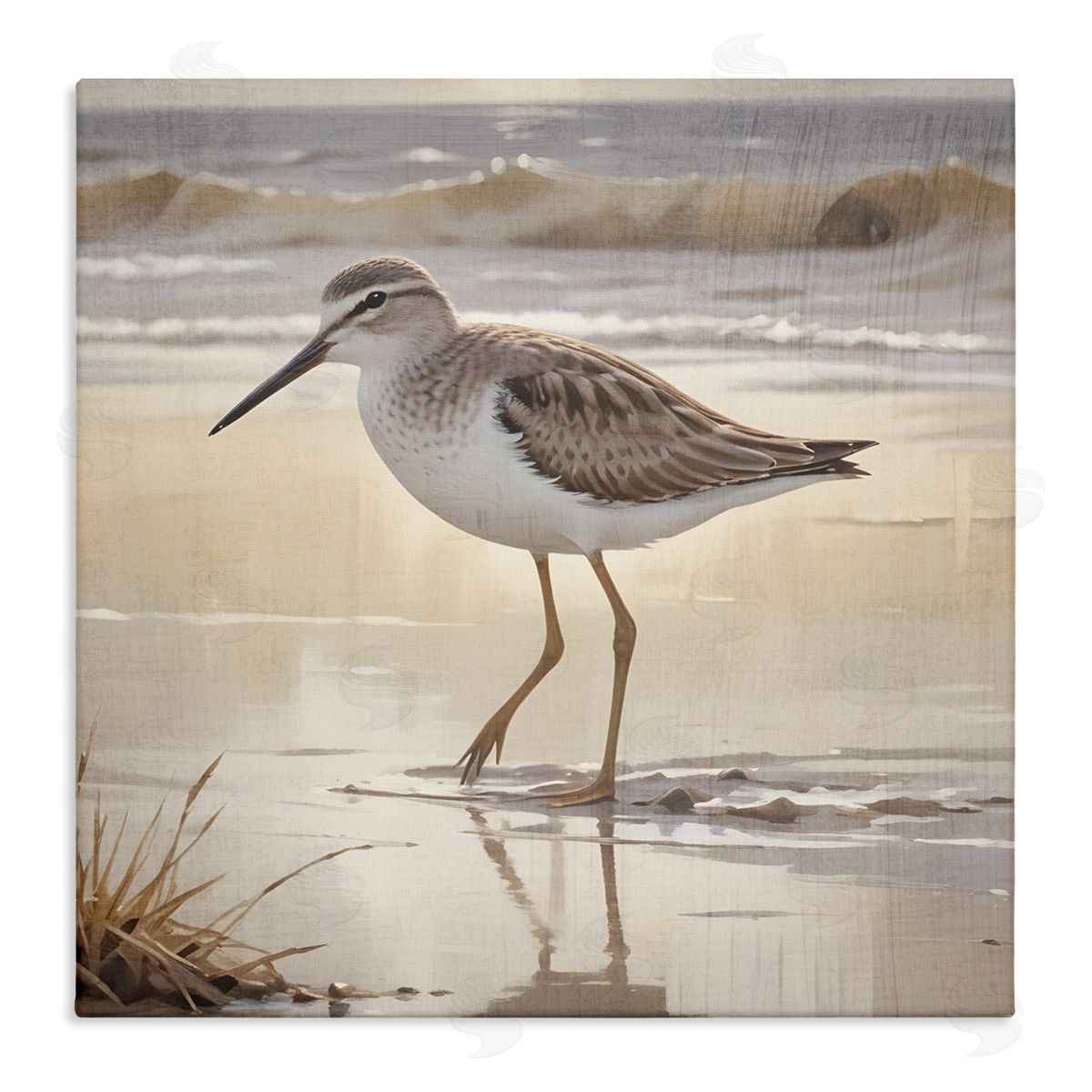 Susan Arnot Wading Beach Sandpiper Canvas Wall Art Print