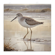 Susan Arnot | Wading Beach Sandpiper