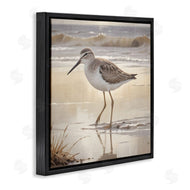 Susan Arnot | Wading Beach Sandpiper