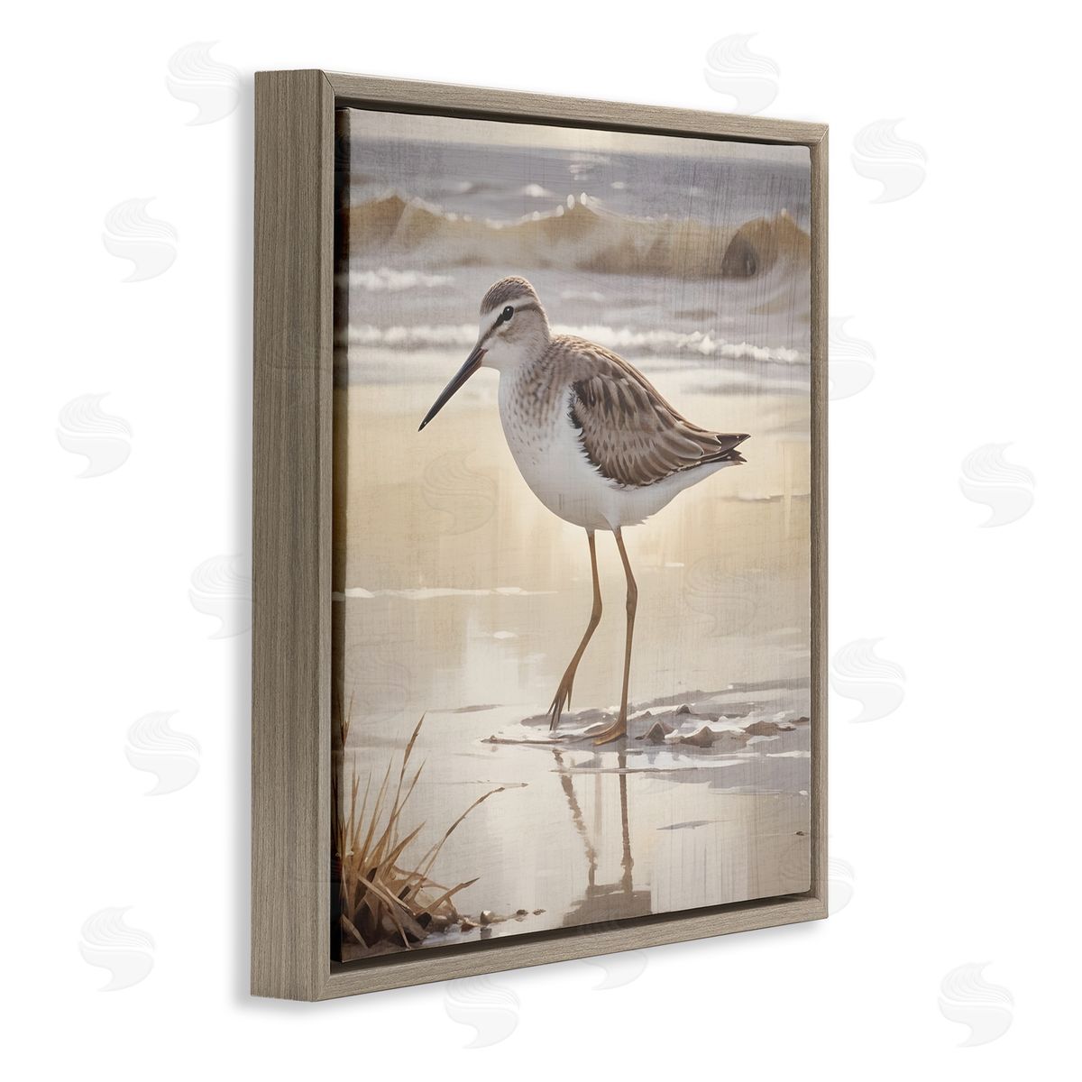 Susan Arnot Wading Beach Sandpiper Brown Floating Frame Canvas Art Print