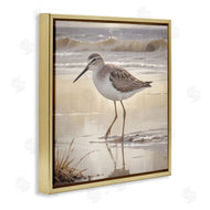 Susan Arnot | Wading Beach Sandpiper