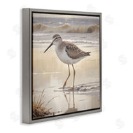 Susan Arnot | Wading Beach Sandpiper