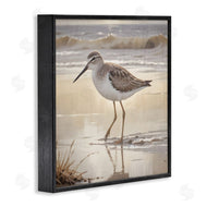 Susan Arnot | Wading Beach Sandpiper