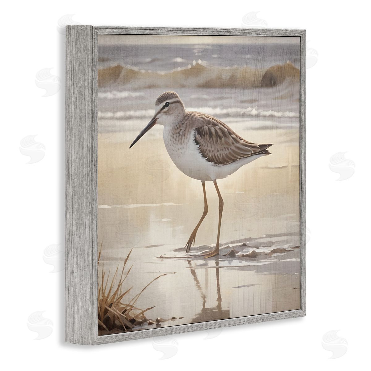 Susan Arnot Wading Beach Sandpiper Gray Framed Giclee Art Print