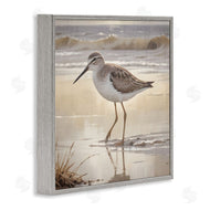 Susan Arnot | Wading Beach Sandpiper