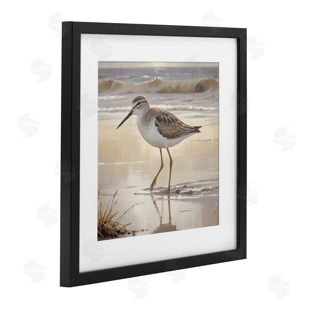 Susan Arnot Wading Beach Sandpiper Black Framed Print Under Glass Art
