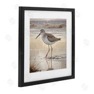 Susan Arnot | Wading Beach Sandpiper