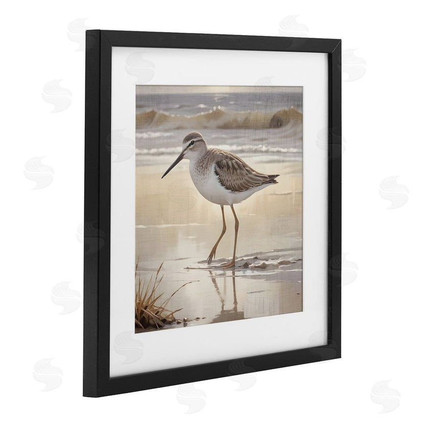 Susan Arnot | Wading Beach Sandpiper