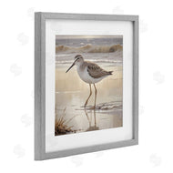 Susan Arnot | Wading Beach Sandpiper