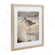 Susan Arnot | Wading Beach Sandpiper