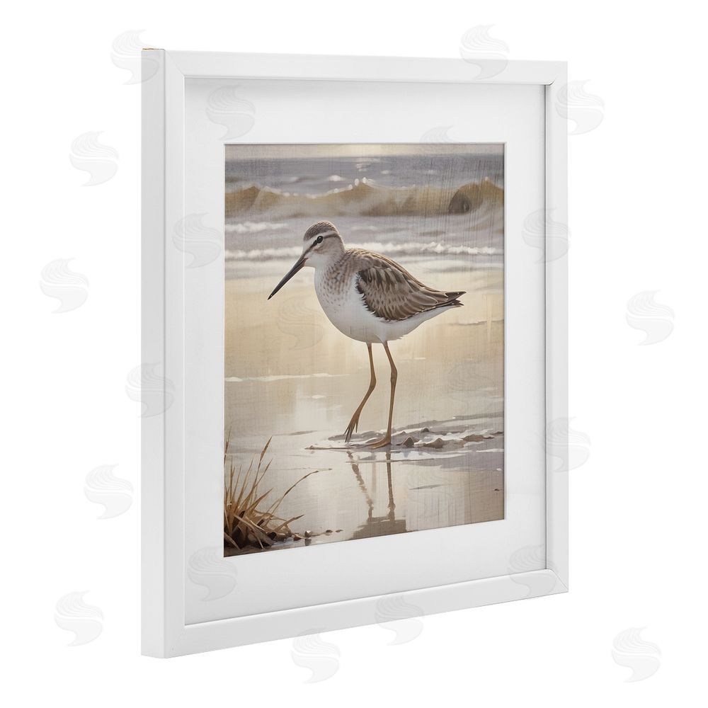 Susan Arnot Wading Beach Sandpiper White Framed Print Under Glass Art