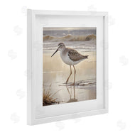 Susan Arnot | Wading Beach Sandpiper