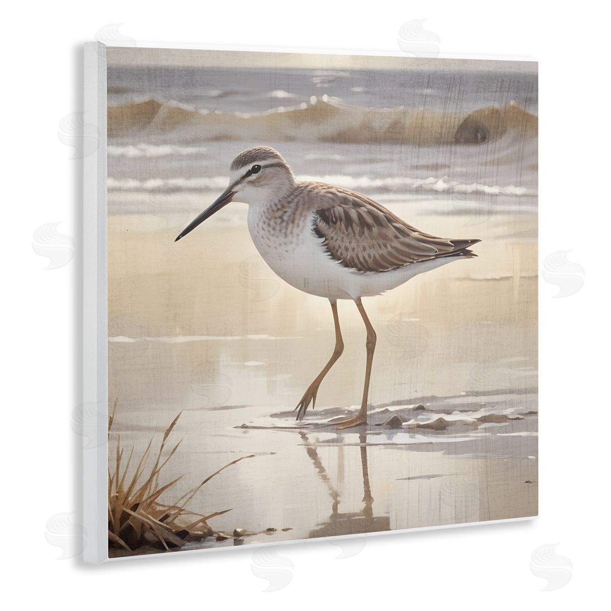 Susan Arnot Wading Beach Sandpiper Wall Plaque Art Print