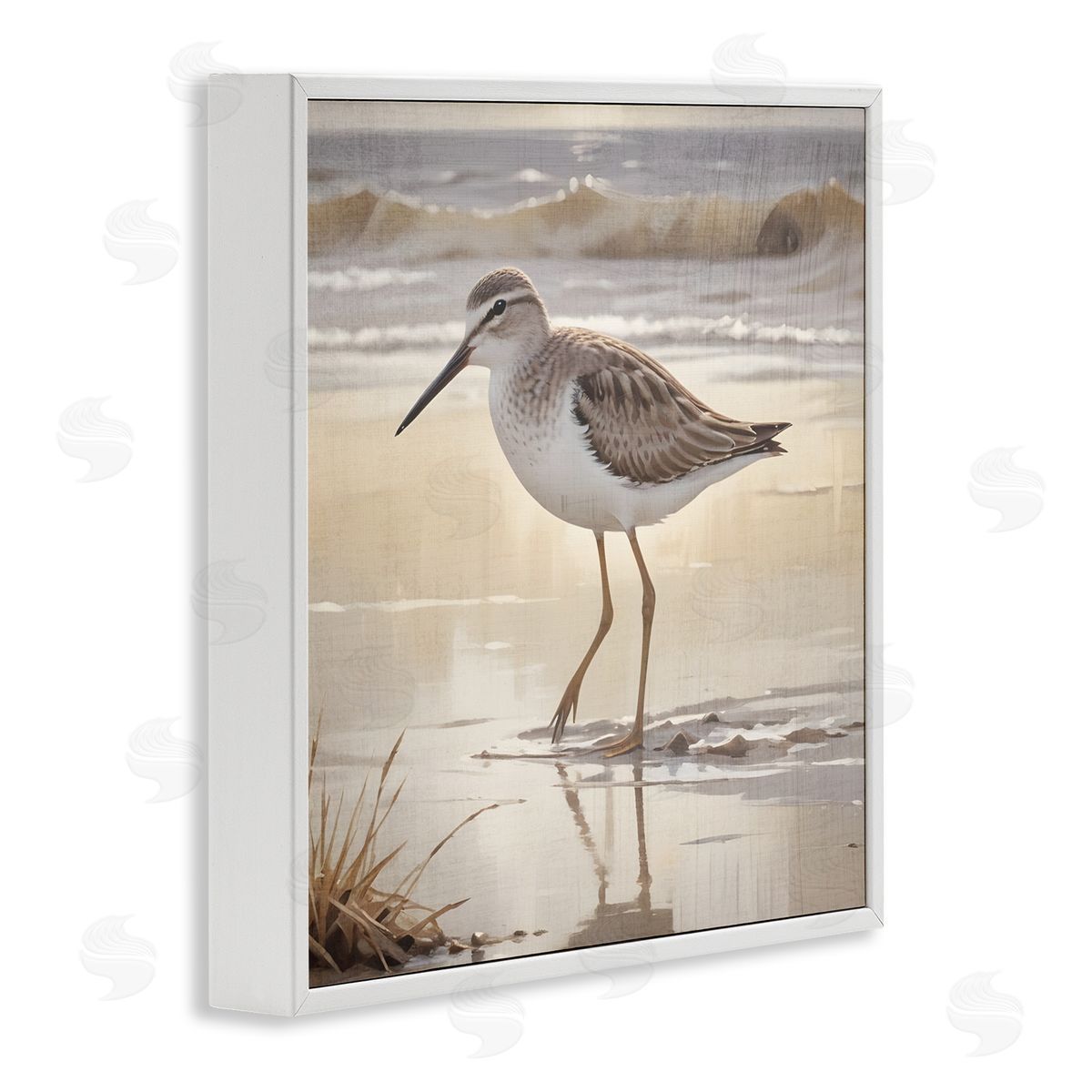 Susan Arnot Wading Beach Sandpiper White Frame Giclee Art Print