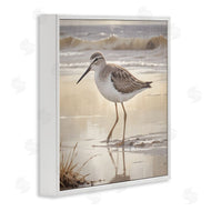 Susan Arnot | Wading Beach Sandpiper