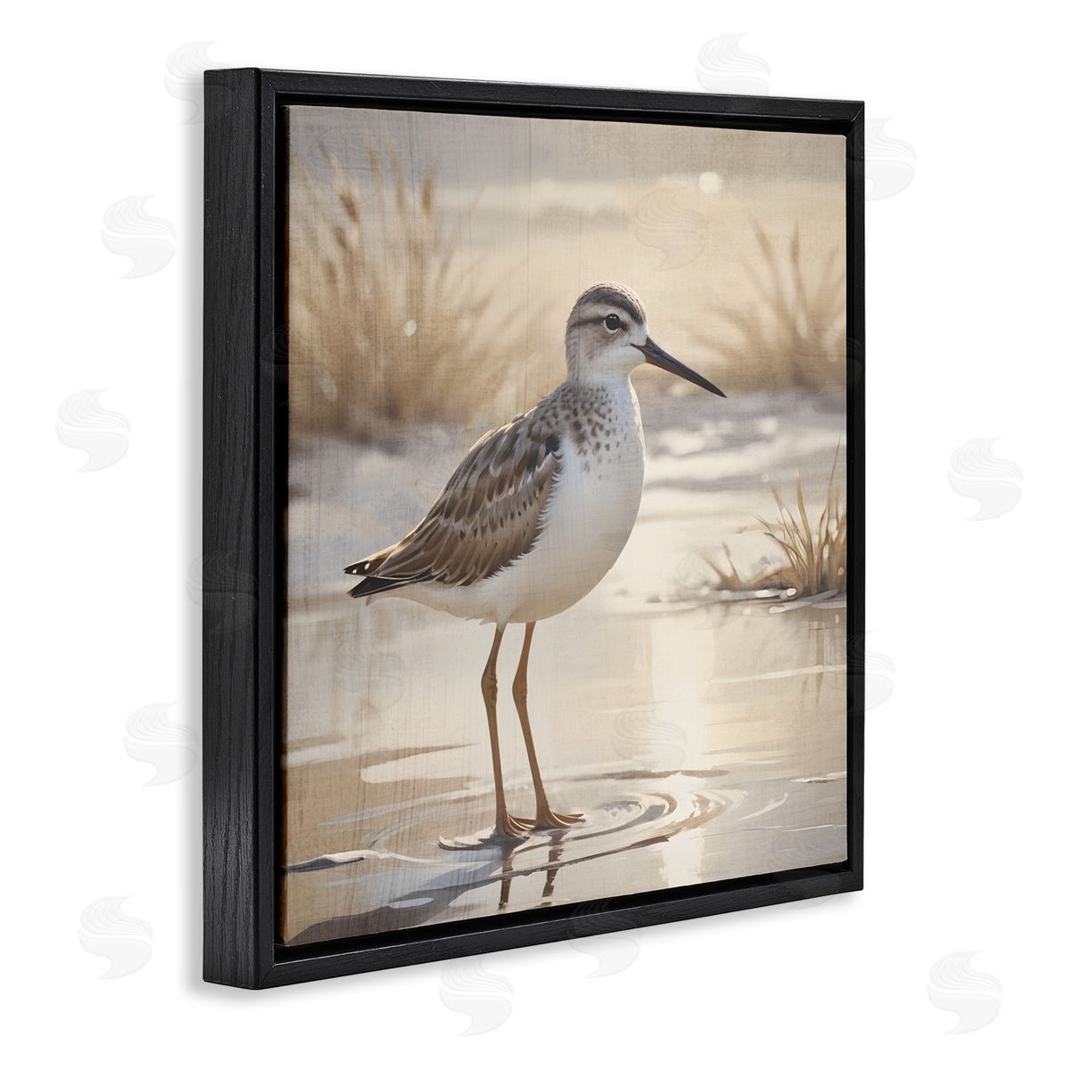 Susan Arnot Sunlit Sandpiper in Shallow Water Black Floating Frame Canvas Wall Art Print