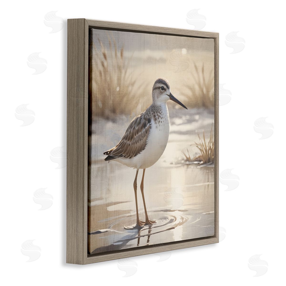 Susan Arnot Sunlit Sandpiper in Shallow Water Brown Floating Frame Canvas Art Print